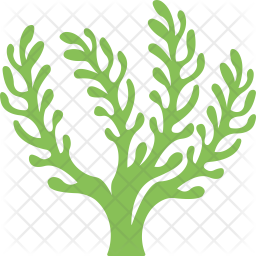 256x256 Seaweed Icon Of Flat Style