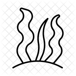 256x256 Seaweed Icon Of Line Style