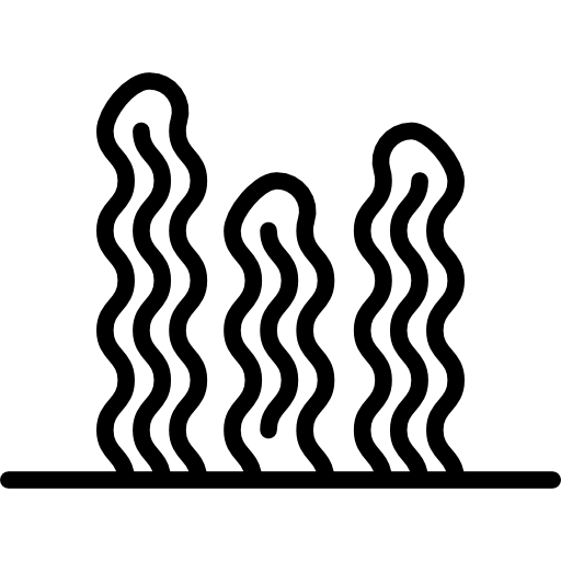 512x512 Seaweed Icons Free Download