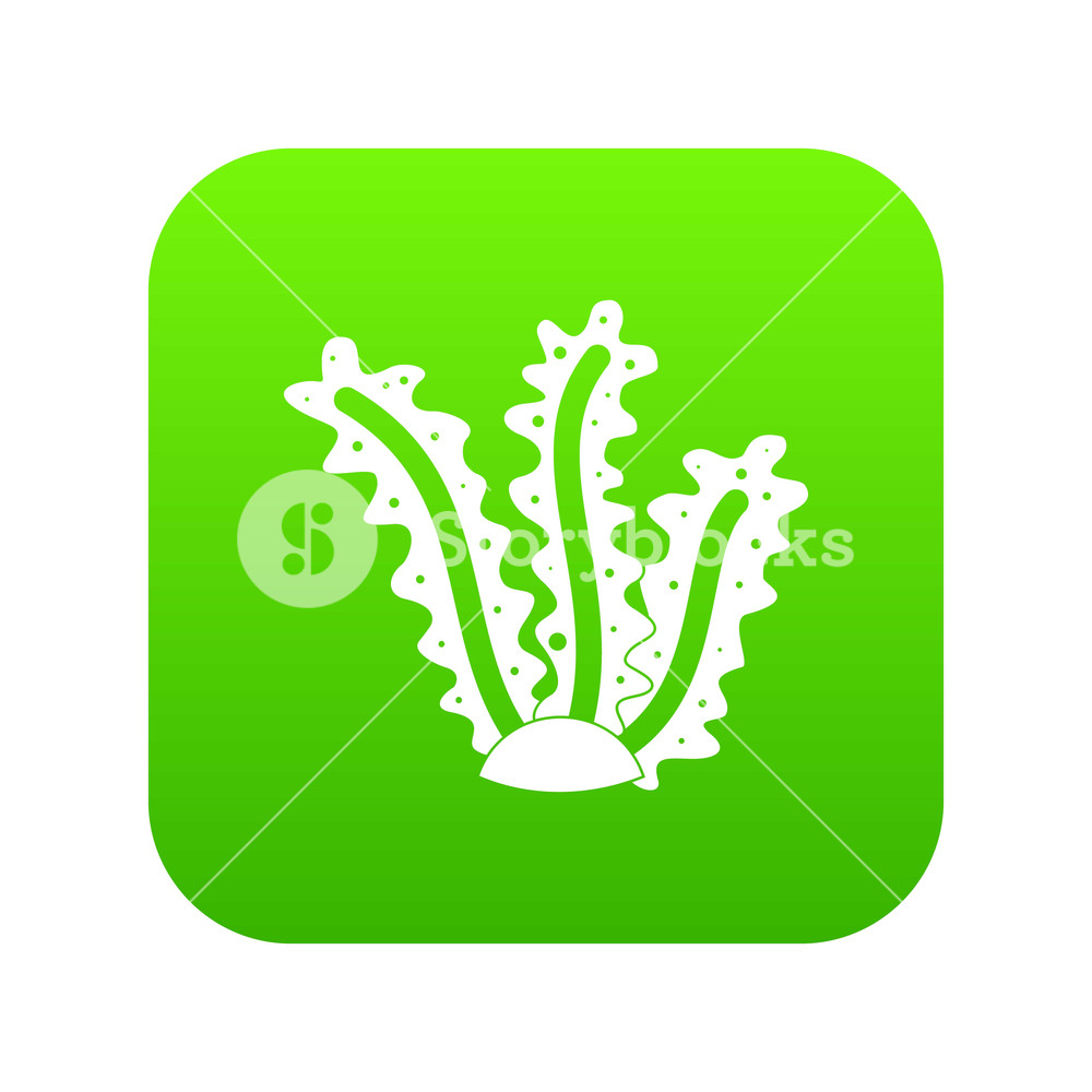 1000x1000 Seaweed Icon Digital Green For Any Design Isolated On White Vector