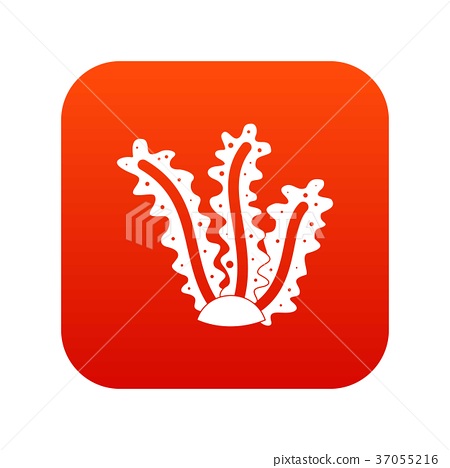 450x468 Seaweed Icon Digital Red