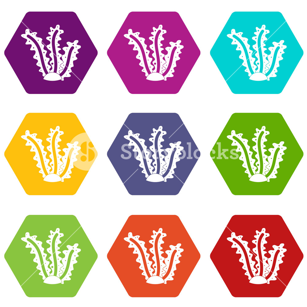 1000x1000 Seaweed Icon Set Many Color Hexahedron Isolated On White Vector