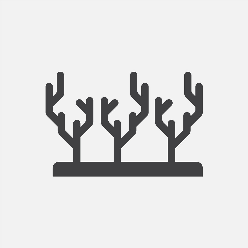 1000x1000 Seaweed Icon Vector Free Graphics Uihere