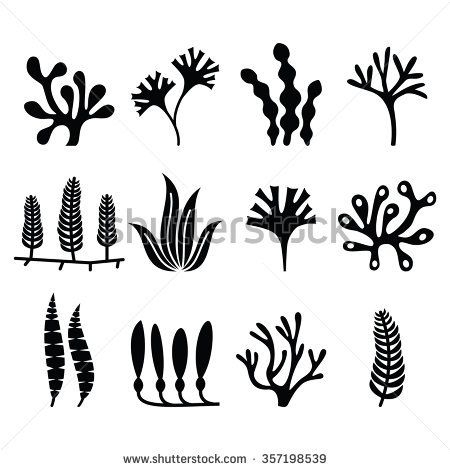 450x470 Seaweed Icons Set