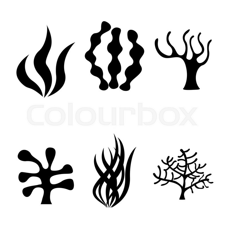 800x800 Vector Black Seaweed Icons Set On Stock Vector Colourbox