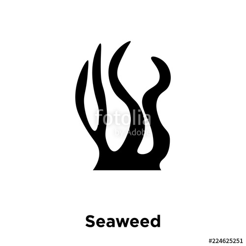 500x500 Seaweed Icon Vector Isolated On White Background, Logo Concept