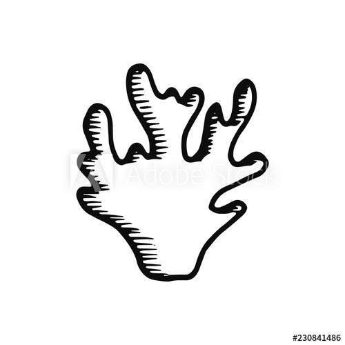 500x500 Seaweed Icon Sketch Isolated Object Black