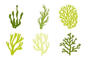 286x200 Seaweed Free Vector Art