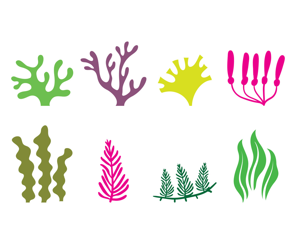 1136x936 Seaweed Icon Vector Art Graphics