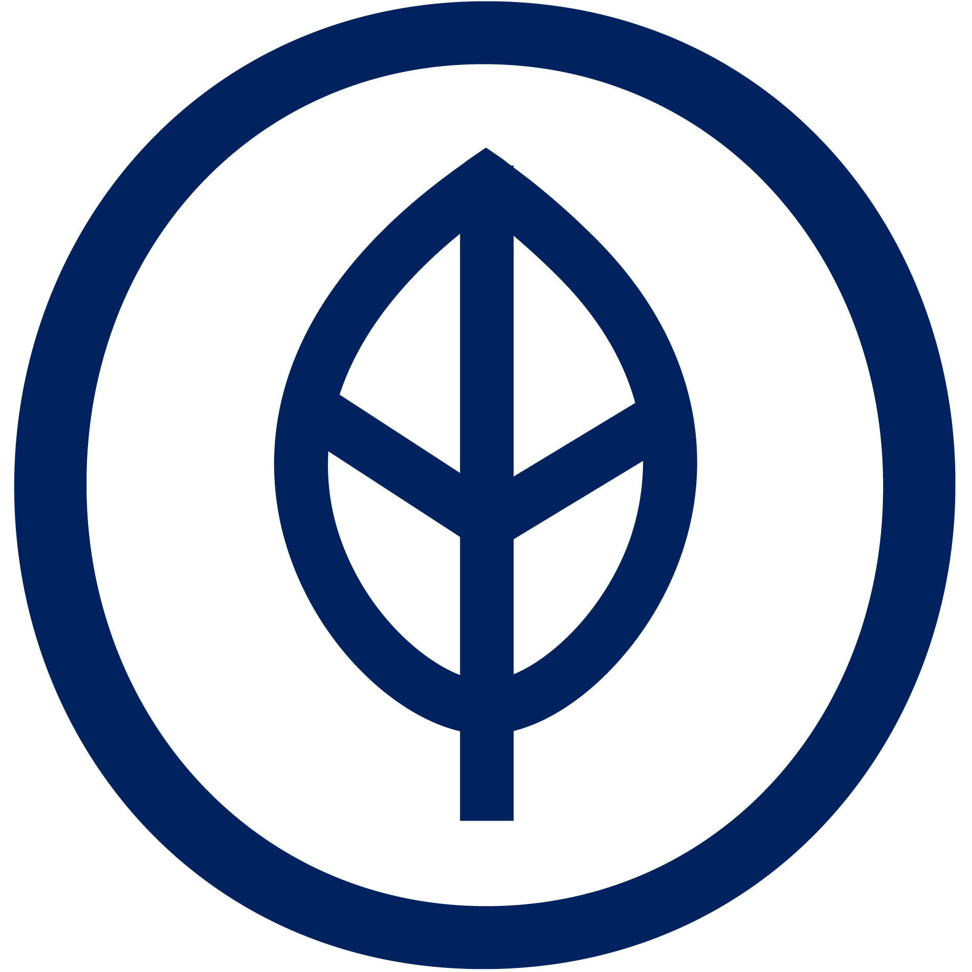 1900x1900 Iconography Millennium Challenge Corporation