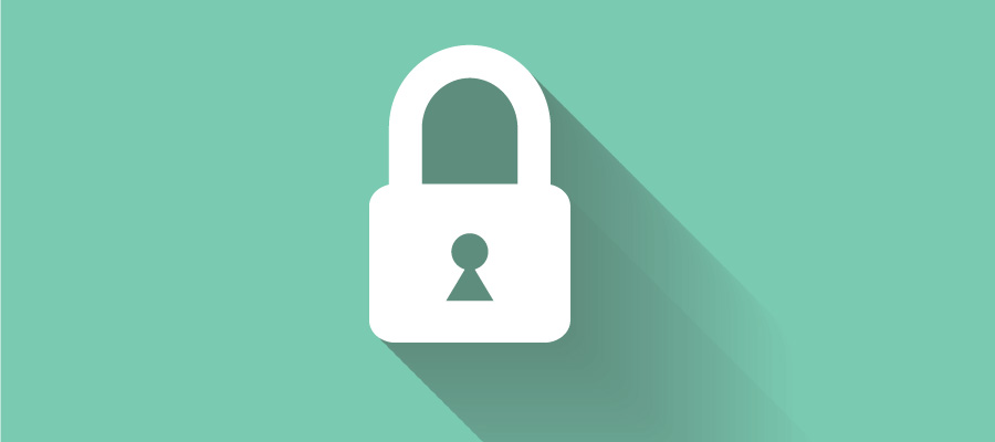 Secure Website Icon at Vectorified.com | Collection of Secure Website ...