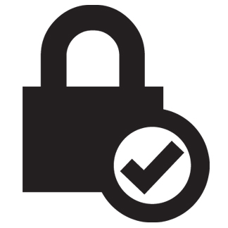 324x324 Website Security Icon