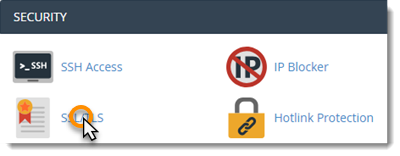 Security Certificate Icon
