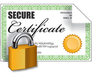 300x250 Ssl Encryption Icon Vector