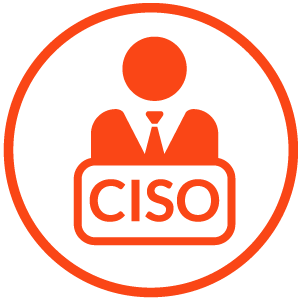 300x300 Security Consulting