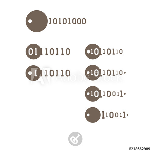 500x500 Set Of Keys With Binary Code Electronic Digital Security System