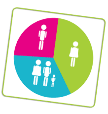 219x230 Segmentation Icon