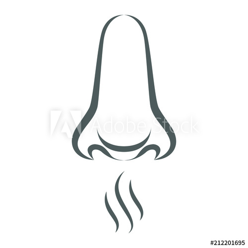500x500 Smell Sense Icon Grey Symbol Smell Sense Isolated On White
