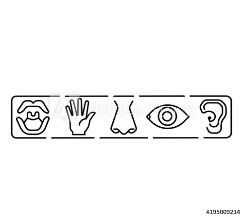 500x447 Icon Set Of Five Human Senses Vision Eye, Smell Nose, Hearing Ear