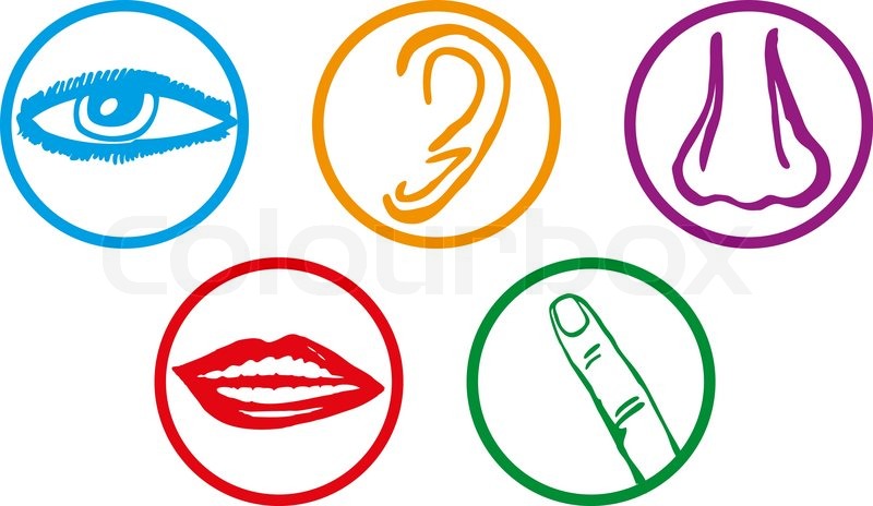 800x464 Five Senses Icon Set