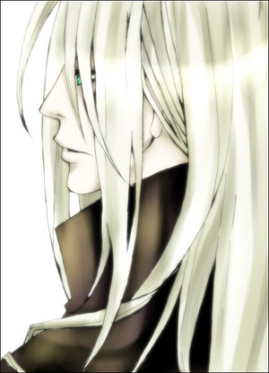 300x416 Sephiroth Icon