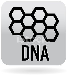 266x300 Dna Honeycomb Sequence Icon Stock Vectors