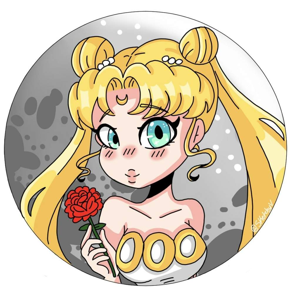 1024x1024 Princess Serenity Icon Art Amino