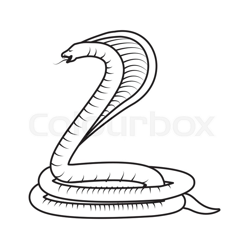 800x800 Poisonous Cobra Serpent Icon Vector Stock Vector Colourbox