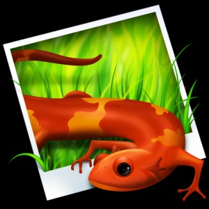 300x300 Helpsofts Icon Maker Download Free For Windows Free