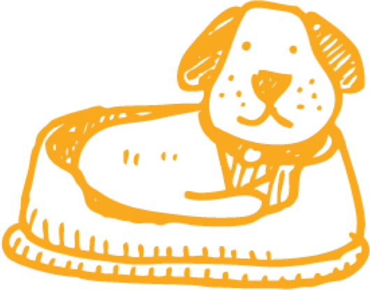 530x416 Fetch! Pet Care Dog Walking, Pet Sitting, Cat Visits, Boarding