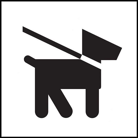 569x569 Accessibility