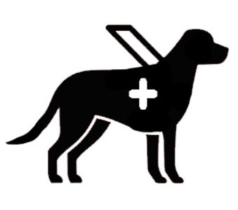 339x300 Seating Accessibility Minnesota Jewish Theatre Company