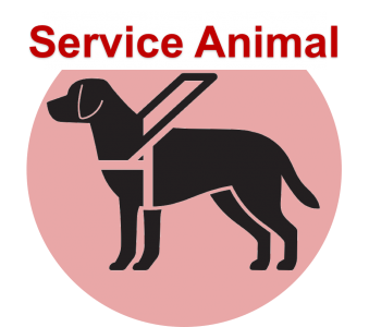 339x300 Service Animals