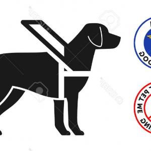 300x300 Service Dog Icon Flat Graphic Design Gm Sarahgardan