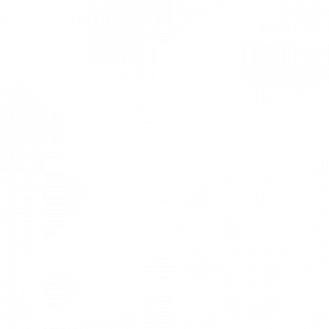 300x300 Icon Servicing