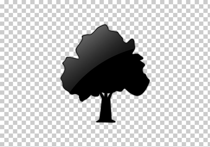 728x512 Shade Tree Computer Icons Oak Deciduous Tree