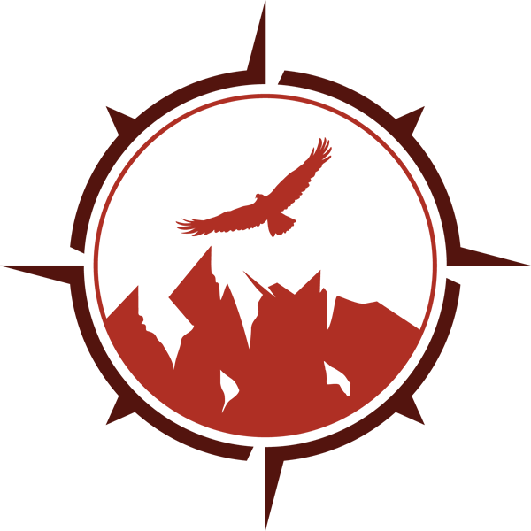 600x600 Shamanic Trekker Energy Medicine Shamanic Healing Energy