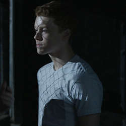 250x250 Ian Gallagher Icons Tumblr
