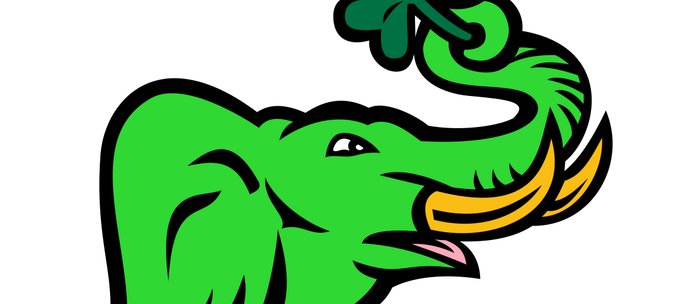 700x304 Green Elephant Shamrock Icon Coffee Mug