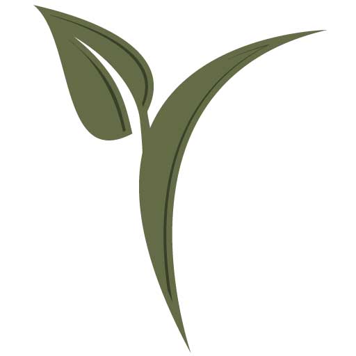 512x512 Shanghai Icon Shanghai And Beyond