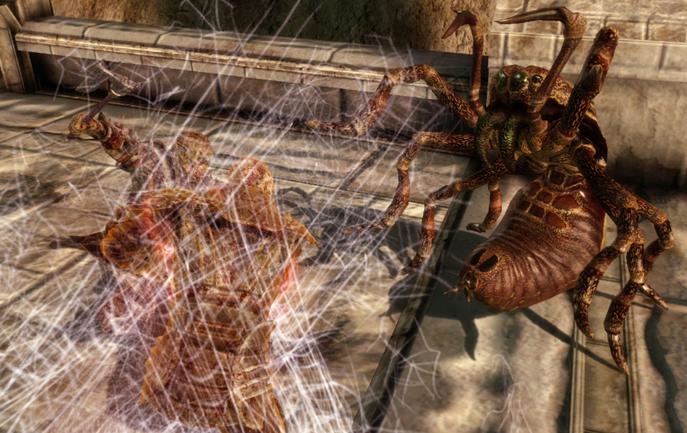 687x433 Shapeshifter Dragon Age Wiki Fandom Powered