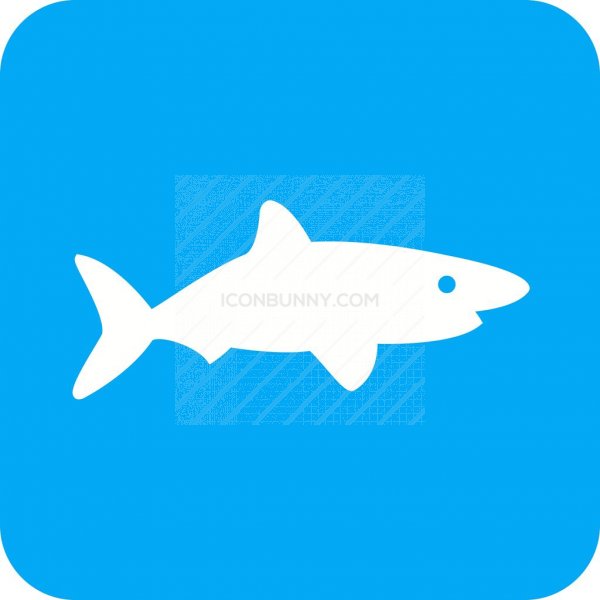 600x600 Shark Flat Round Corner Icon