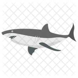 256x256 Shark Icon Of Flat Style