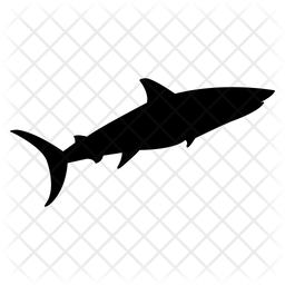 256x256 Shark Icon Of Glyph Style