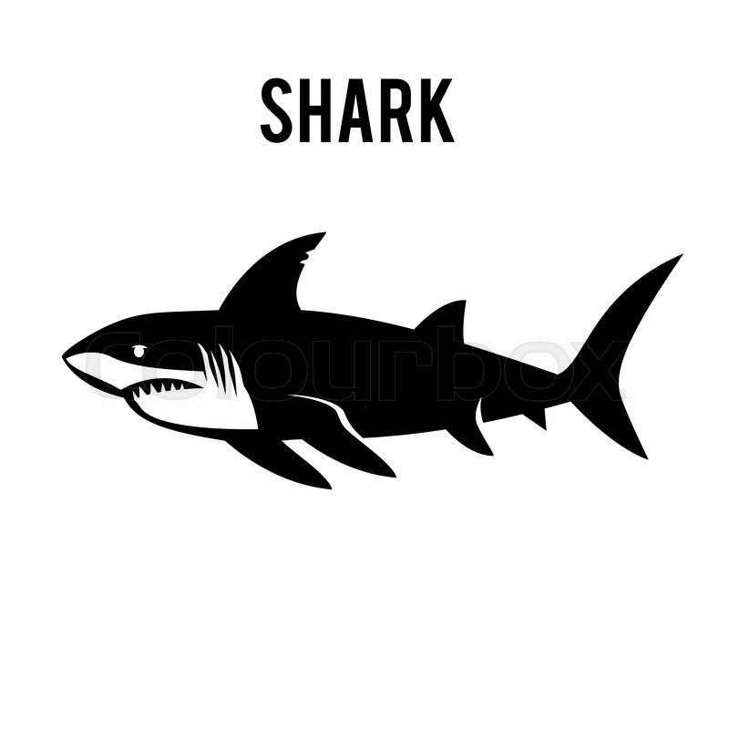800x800 Angry Shark Vector Icon Animal Hunter Stock Vector Colourbox