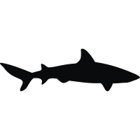 200x200 Shark Icons Noun Project