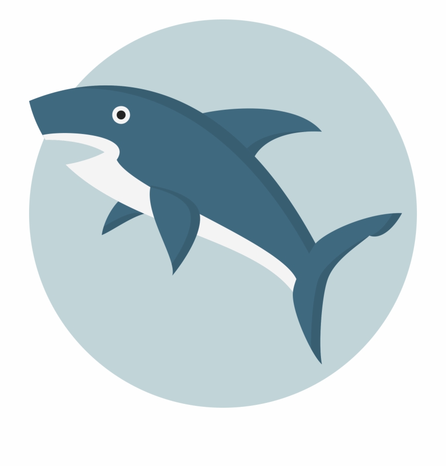 920x960 St Georges Baby Shark