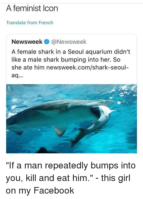 500x697 A Feminist Lcon Translate From French A Female