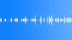 240x135 Sharpie Sound Effects Royalty Free Sharpie Sounds