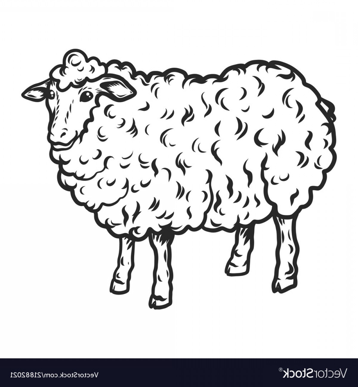 1200x1296 Sheep Icon Hand Drawn Style Vector Soidergi